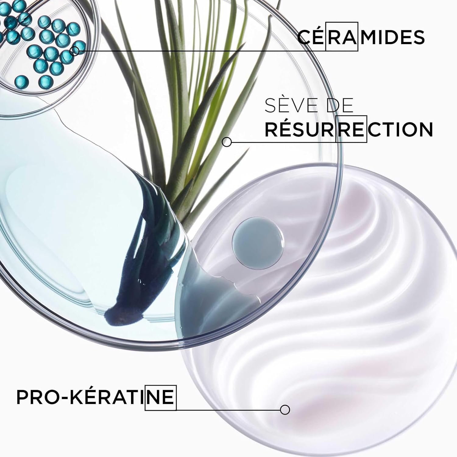 KÉRASTASE Résistance Ciment Anti-Usure Soin Capillaire Réparateur Anti-casse Sans Rinçage - Régénère & Protège - Technologie Vita-Ciment & Sève de Résurrection - Cheveux & Pointes Abîmées - 200 ml – Image 6