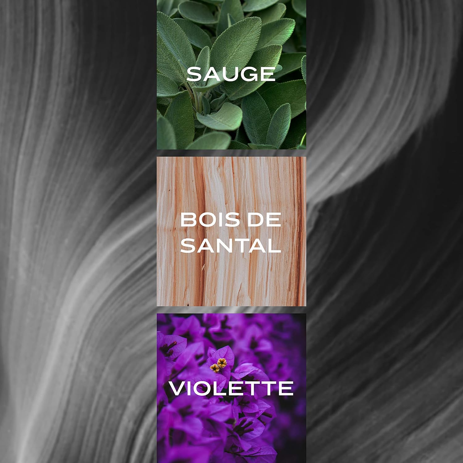 Geoffrey Beene, Grey Flannel, Eau de Toilette Spray pour Homme, Parfum Boisé et Oriental, Parfum Chypré Vert Unique, Authentique et Sophistiqué, Avec Trois Notes Parfumées, 30 ml – Image 8