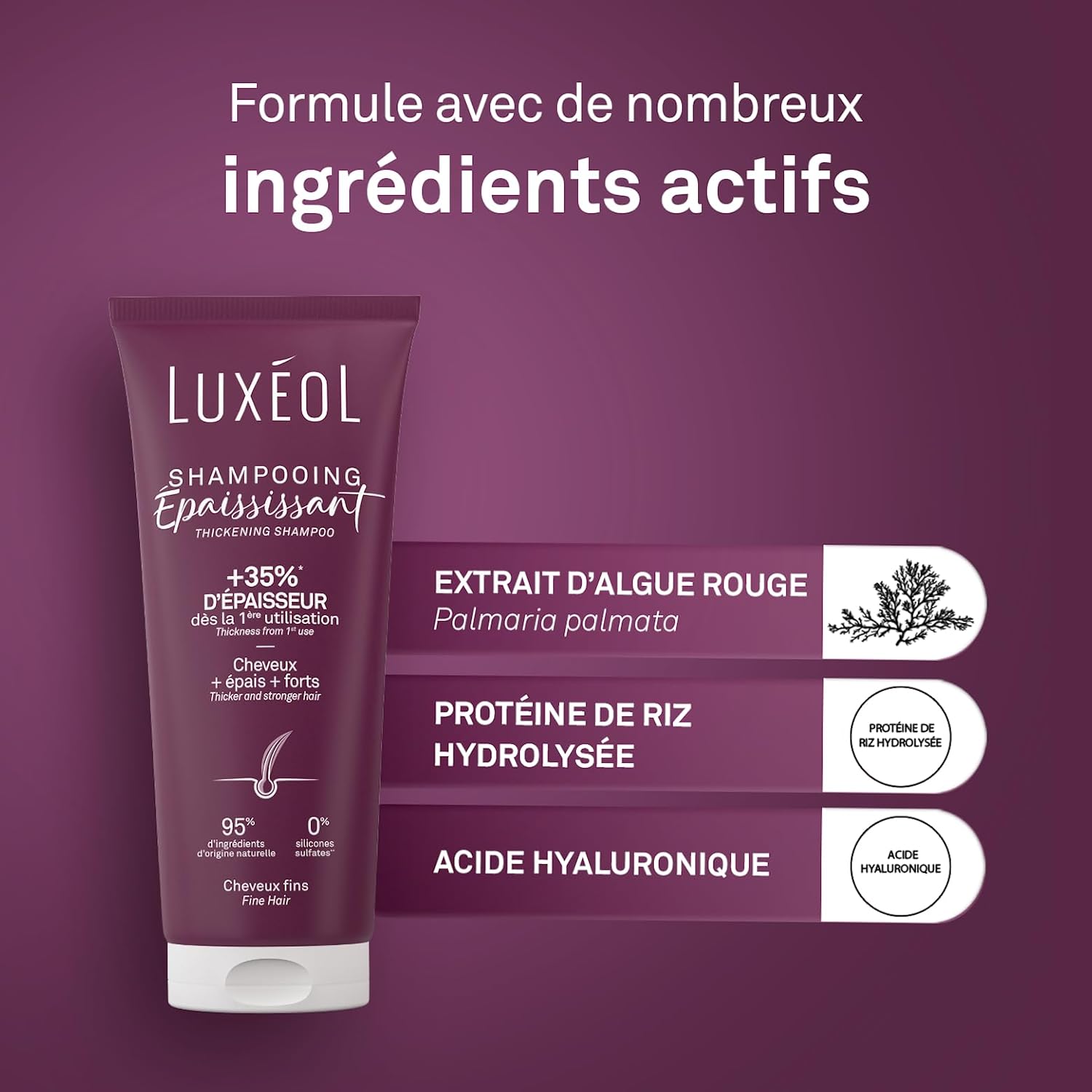 LUXÉOL - Shampoing Épaississant - +35% Épaisseur dès la première utilisation* - Efficacité prouvée - aux Algues Rouges, Protéine de Riz & Acide Hyaluronique - Sans Silicone - Fabriqué en France - 200 ml – Image 7