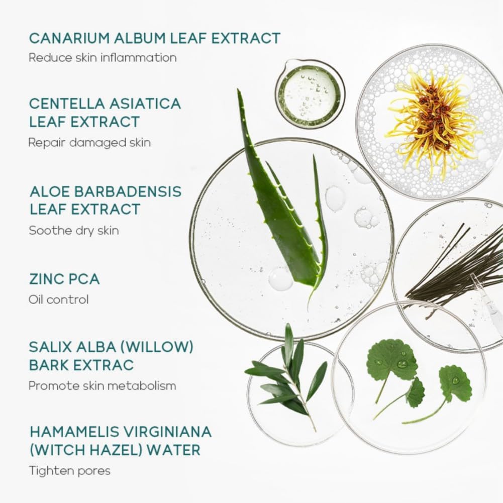 Ensemble complet de soins du visage, hydratant, nourrissant et contrôle du sébum, adapté à tous les types de peau, idéal pour offrir une beauté aux femmes avec un format mini voyage – Image 4