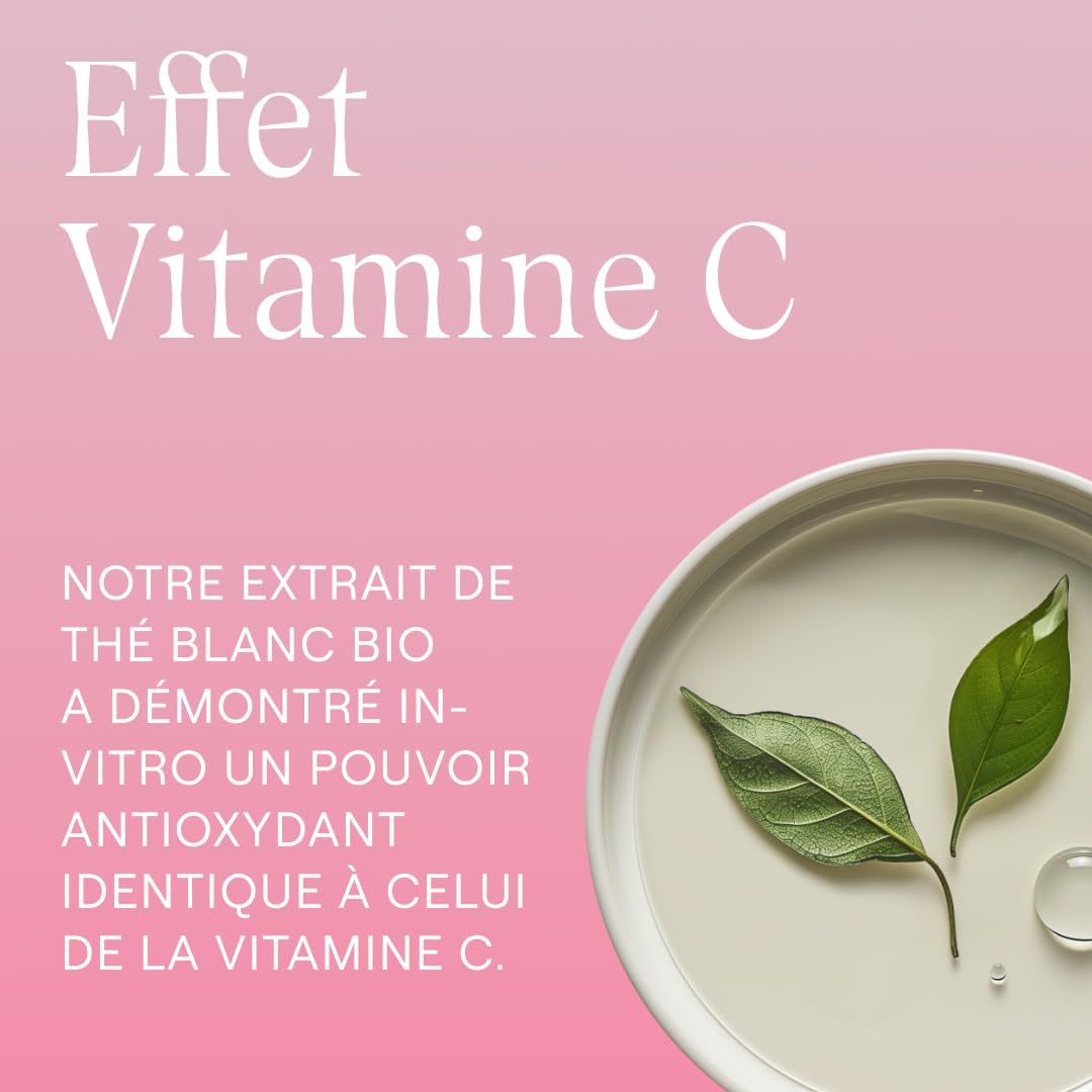 WELEDA – Crème de Nuit Lissante Rose Musquée & Thé Blanc – Nourrit, Régénère et Réduit les premières rides – Soin Visage Anti-Âge Naturel pour Peaux Normales à Sèches – Certifié NATRUE – 40 ml – Image 3