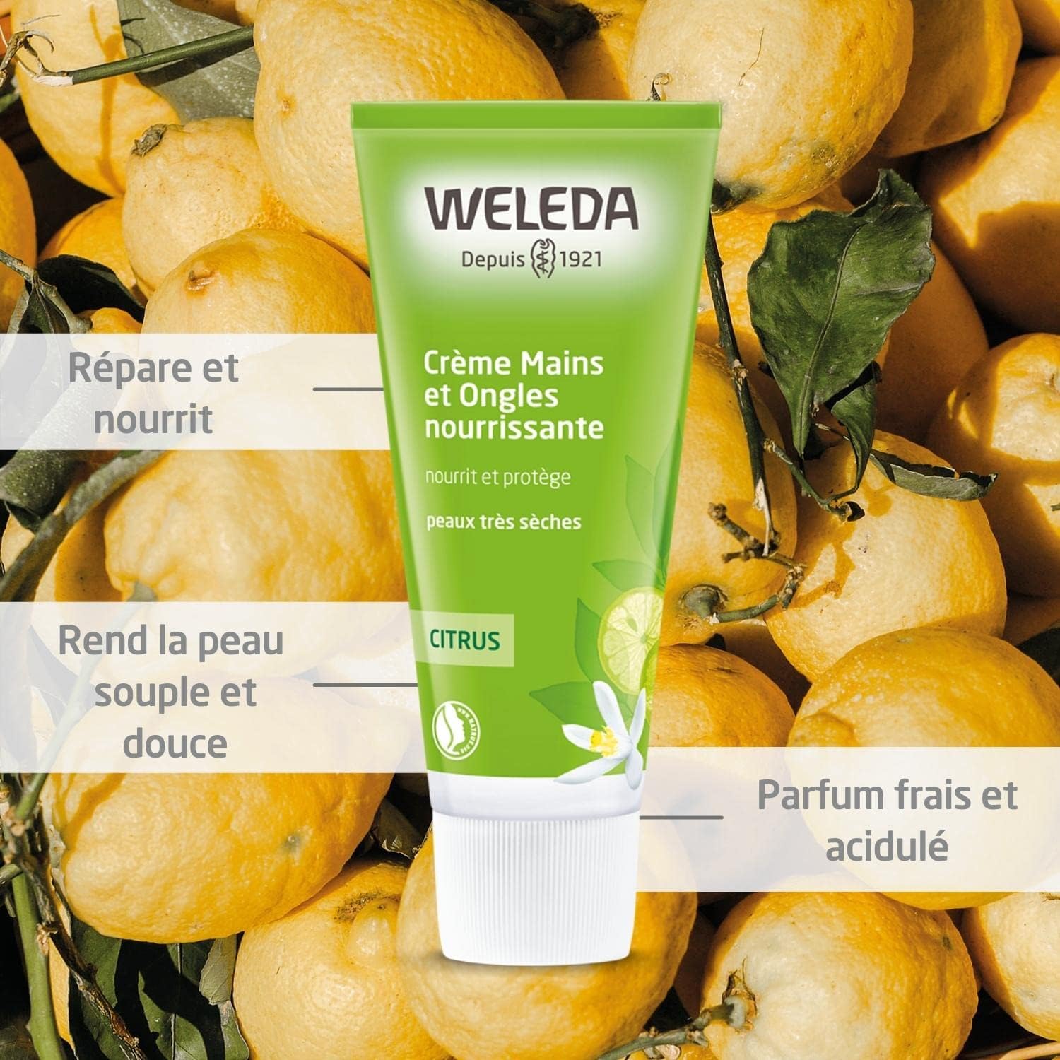 WELEDA - Crème Mains et Ongles Nourrissante aux Agrumes - Peaux Très Sèches - Nourrit, Répare et Protège - 50 ml – Image 3